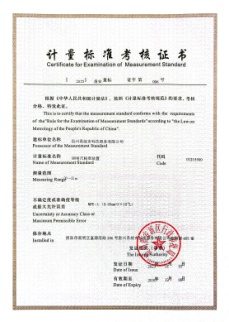 企业最高标准能力